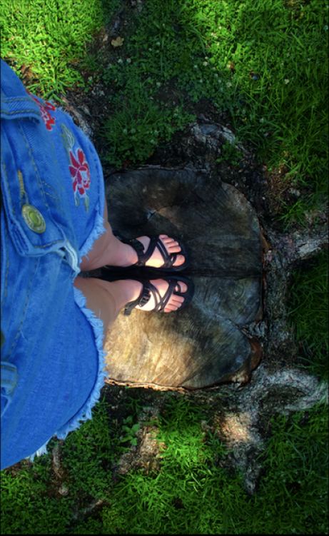 Feet on a treee stump
