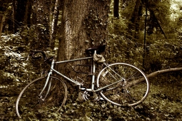 An old bike