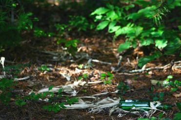 a bottle in the forest