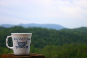 a cup in front of a veiw